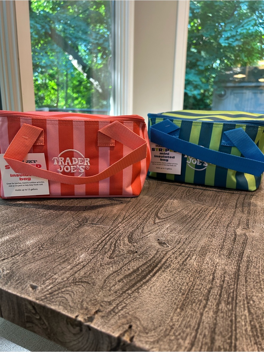 Trader Joe's Striped Insulated Lunch Tote Bags (2)